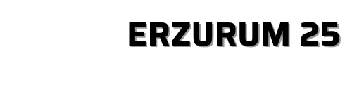 Erzurum Evden eve nakliyat Logo